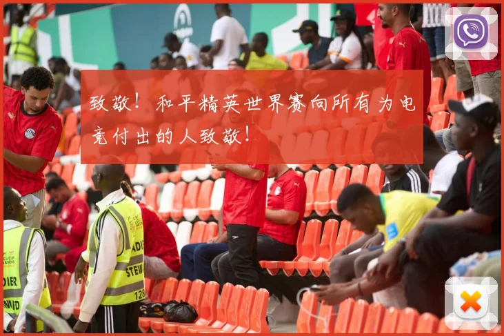 致敬!和平精英世界赛向所有为电竞付出的人致敬!