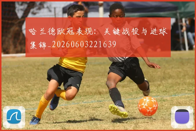 哈兰德欧冠表现:关键战役与进球集锦_20260603221639