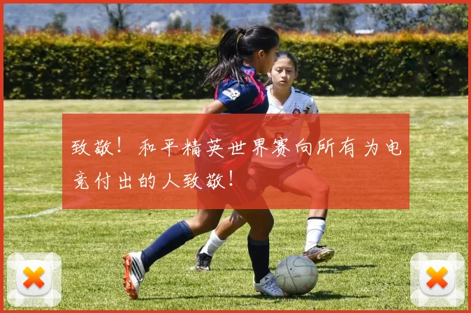 致敬!和平精英世界赛向所有为电竞付出的人致敬!