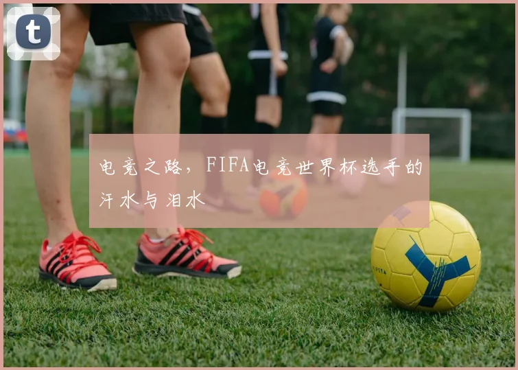电竞之路,FIFA电竞世界杯选手的汗水与泪水