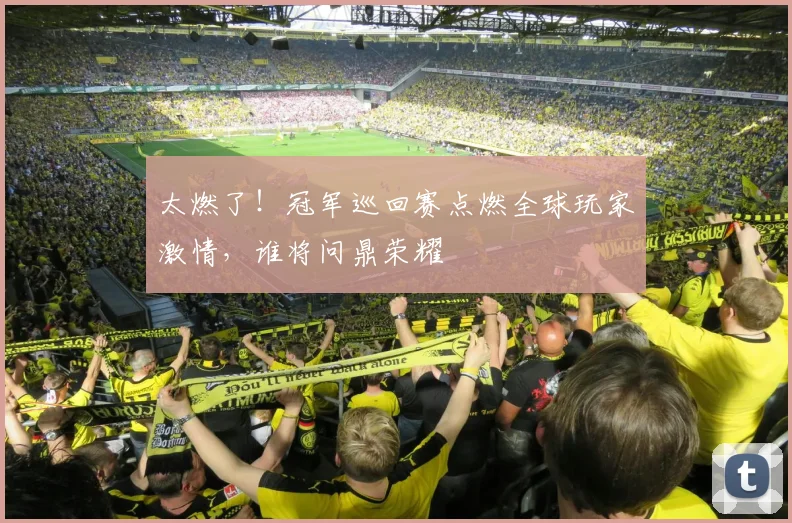 太燃了!冠军巡回赛点燃全球玩家激情,谁将问鼎荣耀