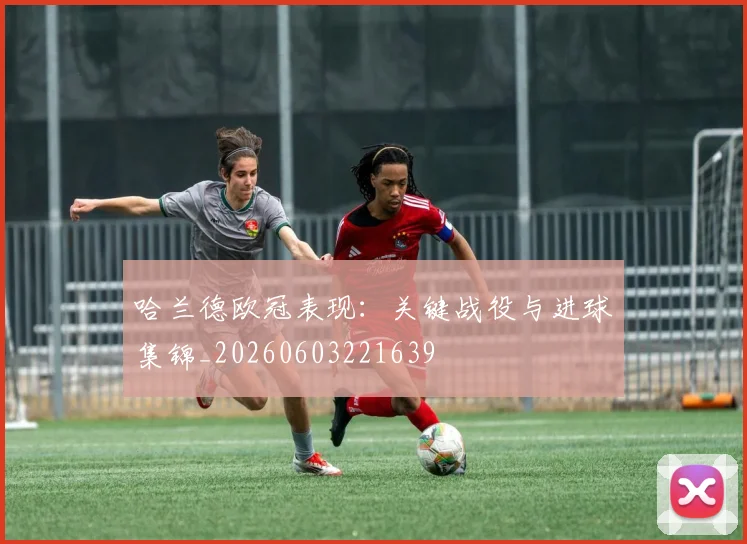 哈兰德欧冠表现:关键战役与进球集锦_20260603221639