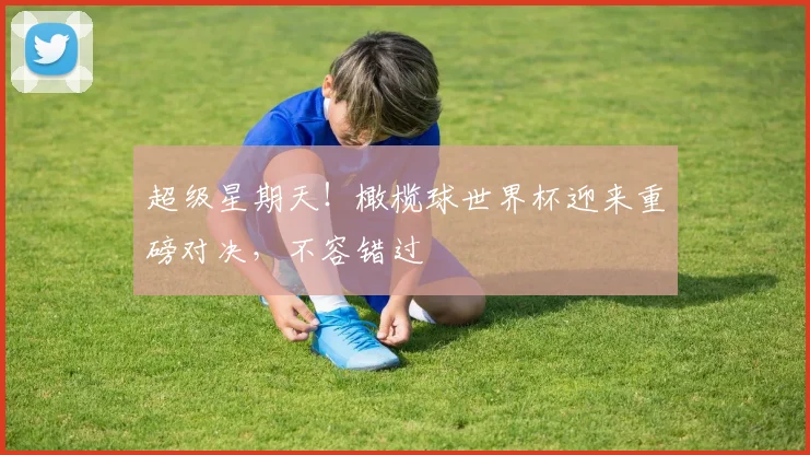 超级星期天！橄榄球世界杯迎来重磅对决，不容错过